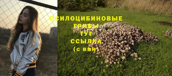мескалин Алексин