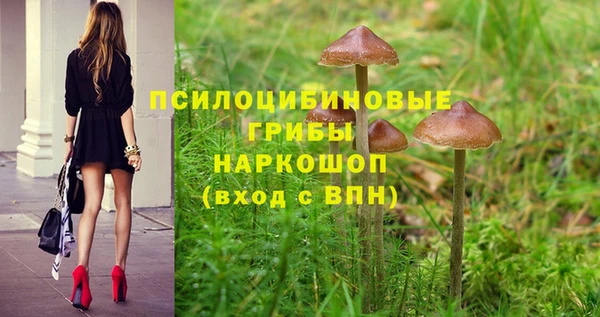 стафф Арсеньев