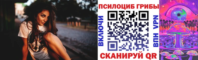 Псилоцибиновые грибы ЛСД  OMG как зайти  Талица 